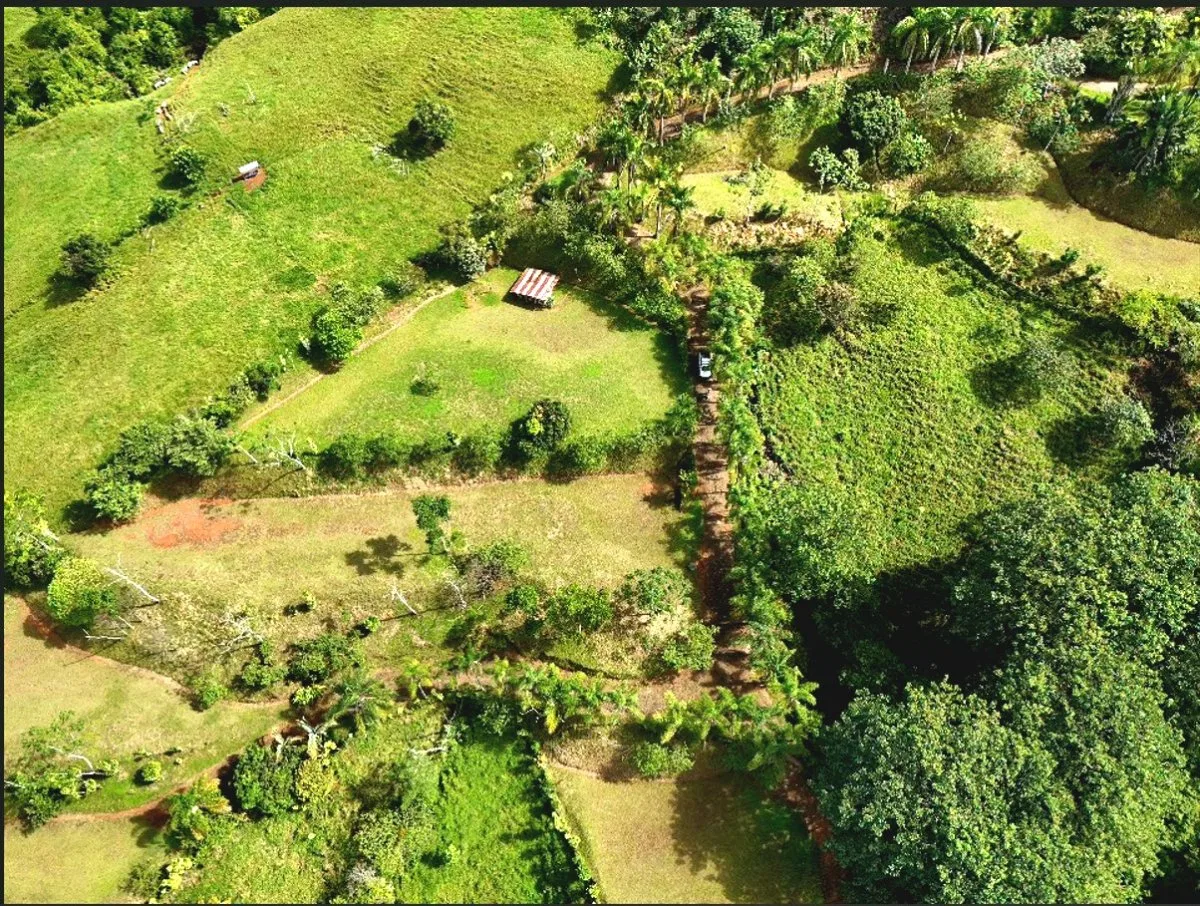 SE VENDE QUINTA CON POZO PROPRIO Y VISTAS A LA PIEDRA DEL CERRO DE LA MUERTE - Venta en Pérez Zeledón