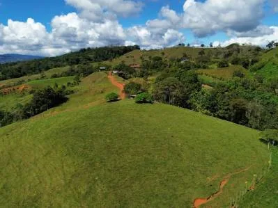 4.5 Acres Moctezuma Farm San Isidro, photo 2