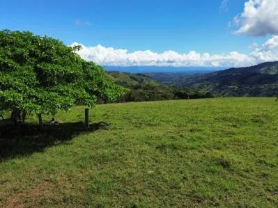 4.5 Acres Moctezuma Farm San Isidro, photo 3