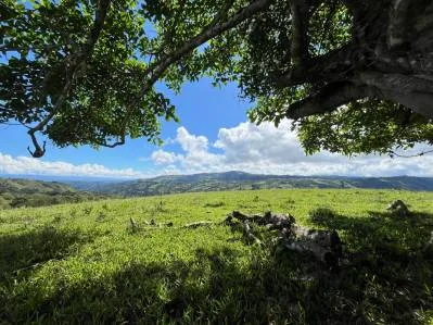 4.5 Acres Moctezuma Farm San Isidro, photo 4