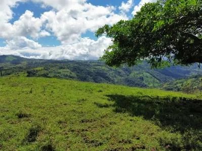 4.5 Acres Moctezuma Farm San Isidro, photo 5