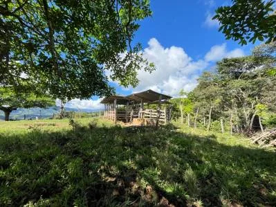 4.5 Acres Moctezuma Farm San Isidro, photo 6