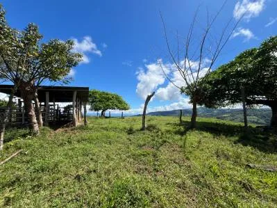 4.5 Acres Moctezuma Farm San Isidro, photo 7