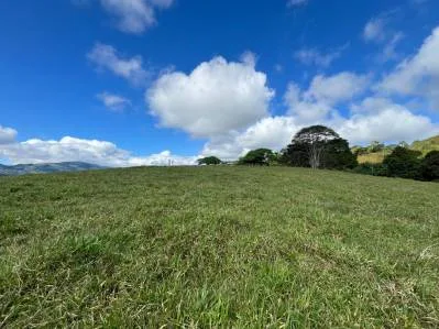 4.5 Acres Moctezuma Farm San Isidro, photo 8