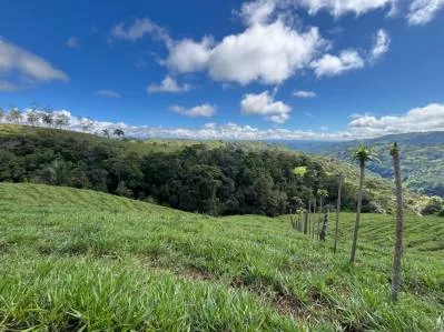 4.5 Acres Moctezuma Farm San Isidro, photo 9