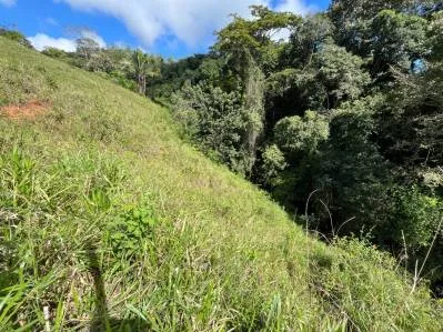 4.5 Acres Moctezuma Farm San Isidro, photo 10