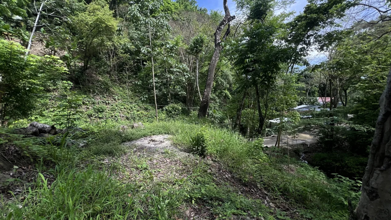 Santa Teresa Coastal Lot - Commercial & Residential
