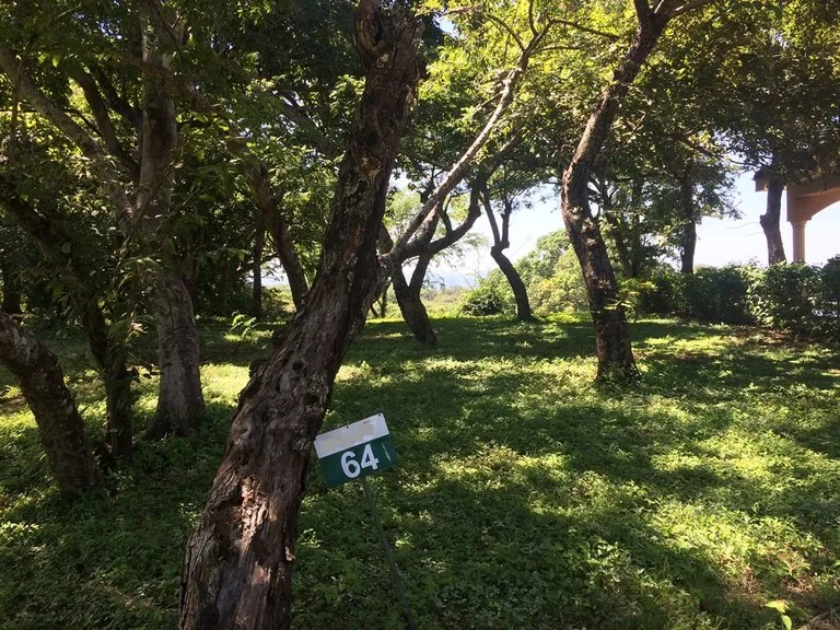Great Ocean, valley and garden view Lots for sale in a Private Gated Community in Peninsula Papagayo, photo 4