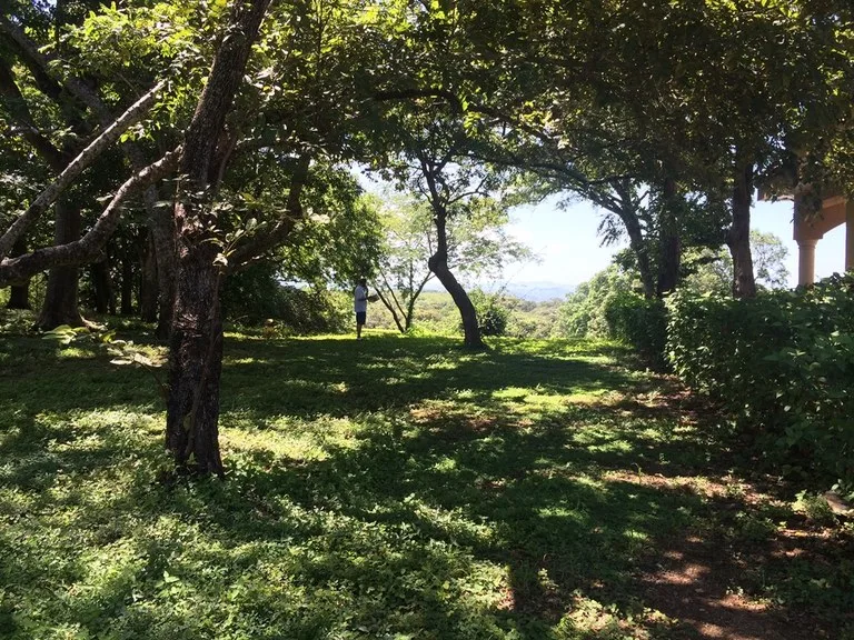 Great Ocean, valley and garden view Lots for sale in a Private Gated Community in Peninsula Papagayo, photo 5