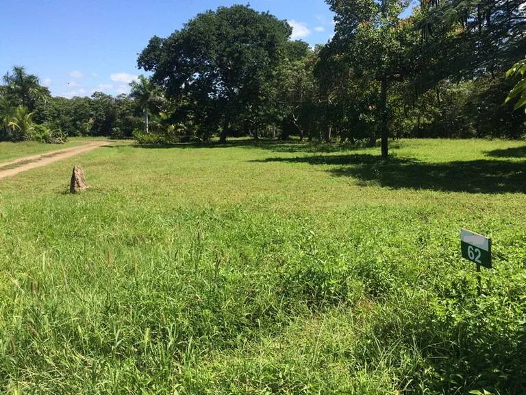Great Ocean, valley and garden view Lots for sale in a Private Gated Community in Peninsula Papagayo, photo 6
