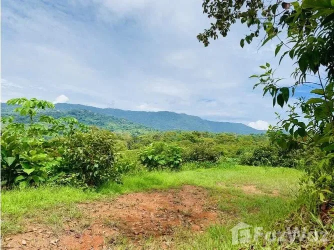 Land for Sale in Perez Zeledon, San Jose for $50,000, photo 2