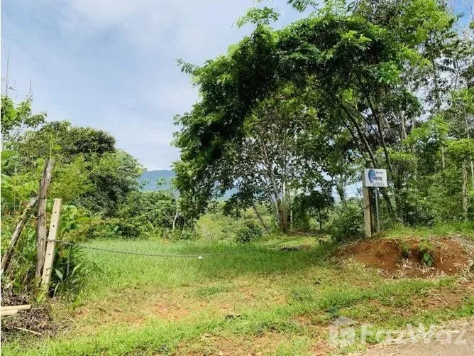 Land for Sale in Perez Zeledon, San Jose for $50,000, photo 3