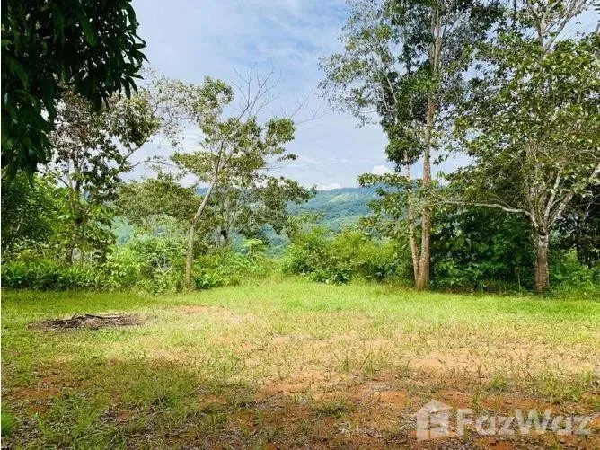 Land for Sale in Perez Zeledon, San Jose for $50,000, photo 4