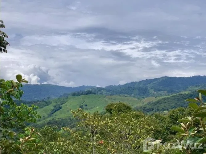 Land for Sale in Perez Zeledon, San Jose for $50,000, photo 6