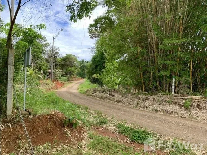 Land for Sale in Perez Zeledon, San Jose for $50,000, photo 7