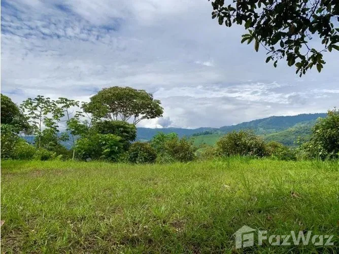 Land for Sale in Perez Zeledon, San Jose for $50,000, photo 8