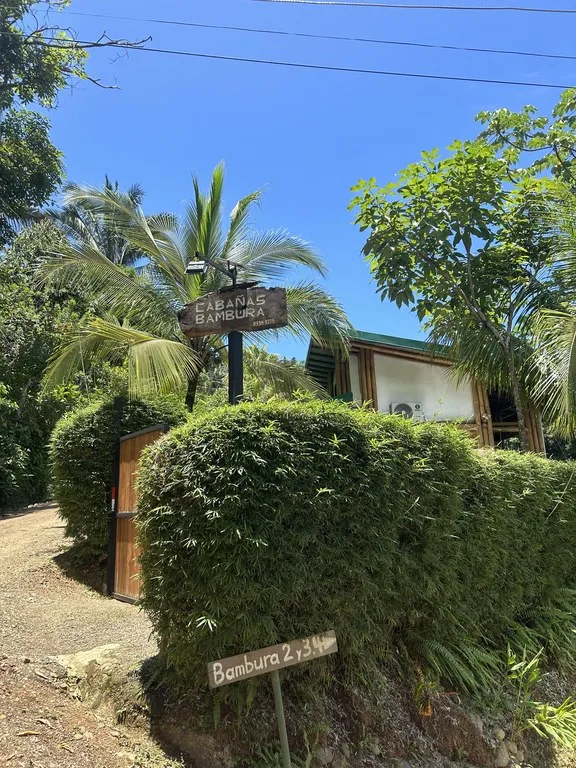 Cabinas Bambura: Cabinas Bambura: Successful Airbnb Business with Stunning Mountain & Jungle View, photo 2