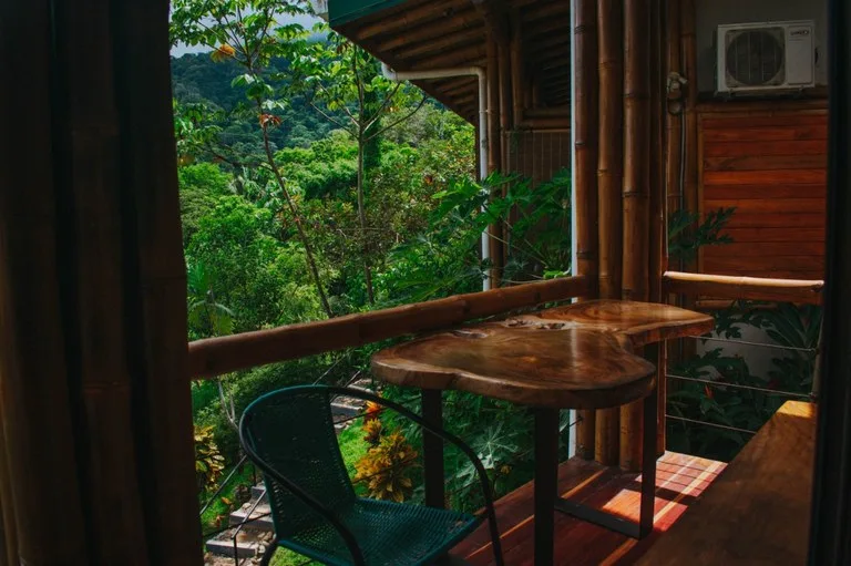 Cabinas Bambura: Cabinas Bambura: Successful Airbnb Business with Stunning Mountain & Jungle View, photo 15