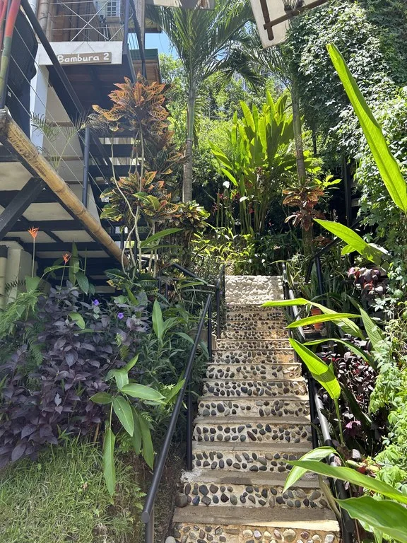 Cabinas Bambura: Cabinas Bambura: Successful Airbnb Business with Stunning Mountain & Jungle View, photo 4