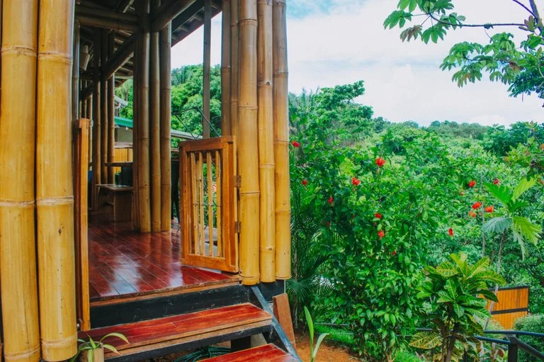 Cabinas Bambura: Cabinas Bambura: Successful Airbnb Business with Stunning Mountain & Jungle View, photo 5