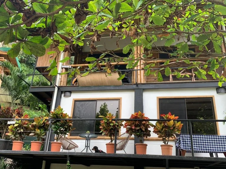 Cabinas Bambura: Cabinas Bambura: Successful Airbnb Business with Stunning Mountain & Jungle View, photo 6