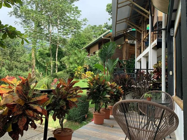 Cabinas Bambura: Cabinas Bambura: Successful Airbnb Business with Stunning Mountain & Jungle View, photo 7