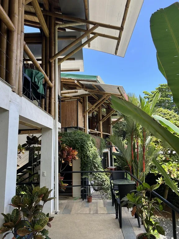 Cabinas Bambura: Cabinas Bambura: Successful Airbnb Business with Stunning Mountain & Jungle View, photo 8