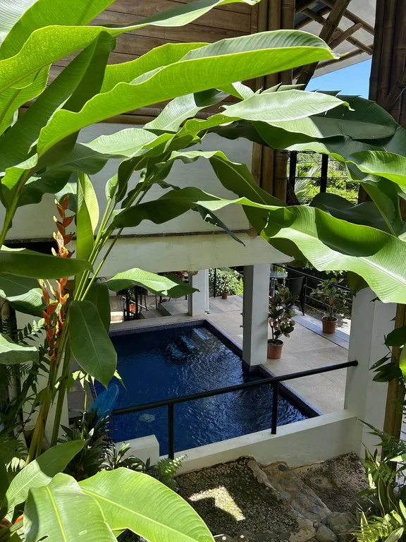 Cabinas Bambura: Cabinas Bambura: Successful Airbnb Business with Stunning Mountain & Jungle View, photo 9