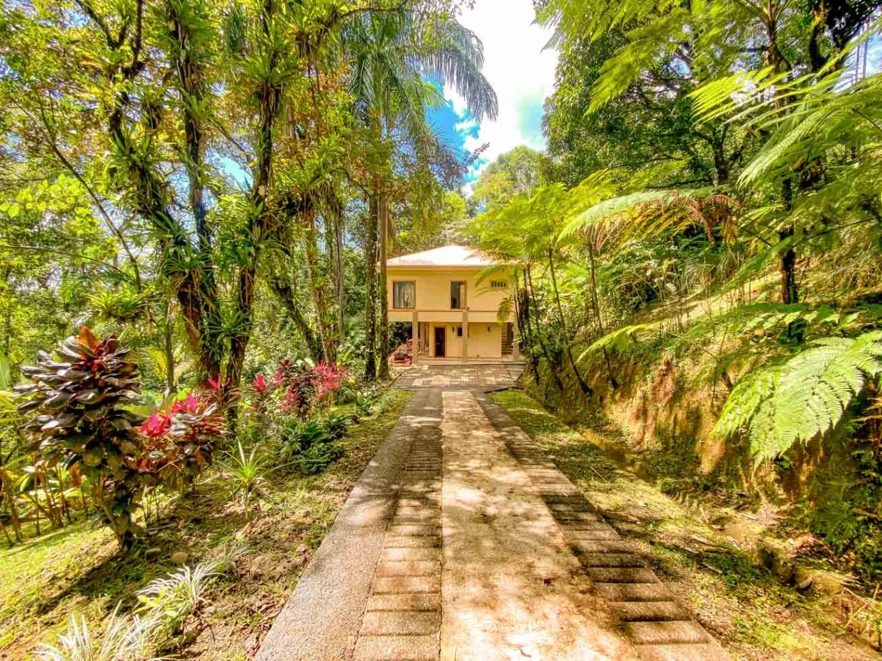 PROPERTY WITH TWO FLOOR AND THREE BEDROOM WITH JUNGLE VIEWS, IN OJOCHAL – 3.5 ACRES, photo 25