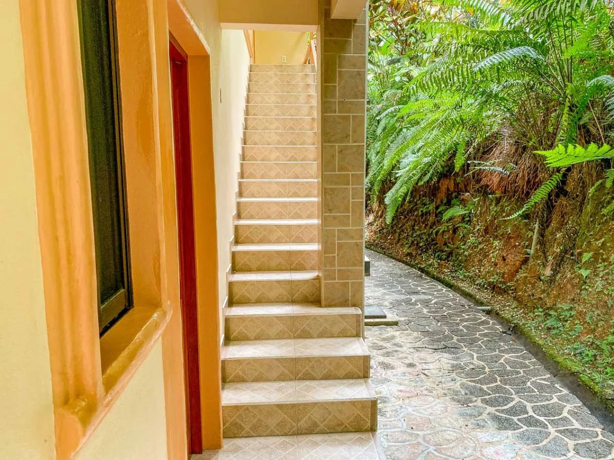 PROPERTY WITH TWO FLOOR AND THREE BEDROOM WITH JUNGLE VIEWS, IN OJOCHAL – 3.5 ACRES, photo 27