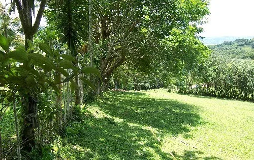Home Construction Site in Nuevo Tronadora, photo 3
