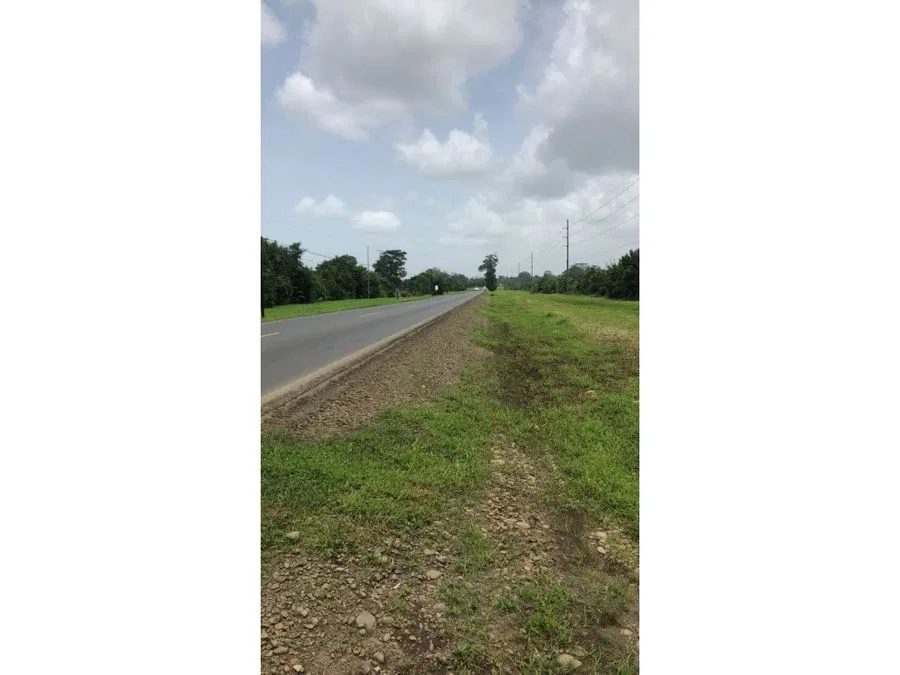 VENTA DE LOTE CON USO DE SUELO MIXTO, HEREDIA, SARAPIQUÍ, HORQUETAS
