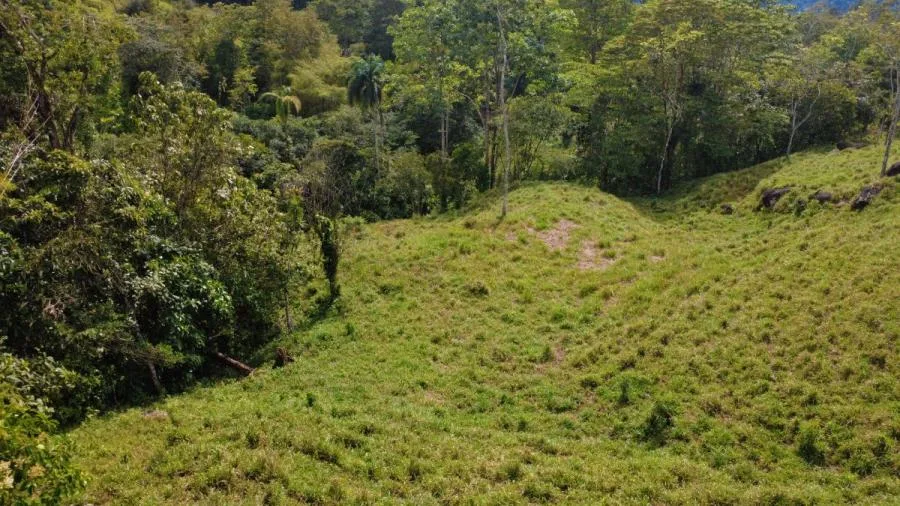 PROPIEDAD DE 10,000 m² EN MIRAFLORES, PÉREZ ZELEDÓN – TERRENO LISTO PARA CONSTRUIR CON QUEBRADA Y CL - Venta en Perez Zeledón, photo 11
