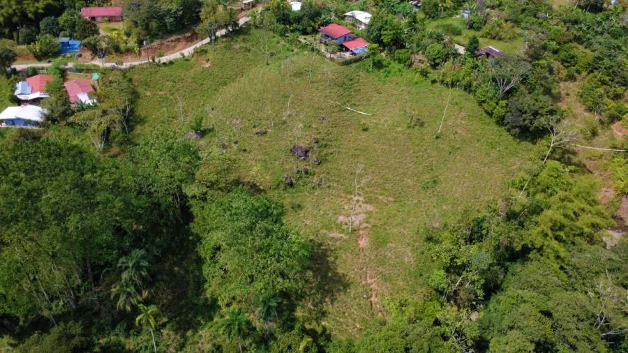 PROPIEDAD DE 10,000 m² EN MIRAFLORES, PÉREZ ZELEDÓN – TERRENO LISTO PARA CONSTRUIR CON QUEBRADA Y CL - Venta en Perez Zeledón, photo 12