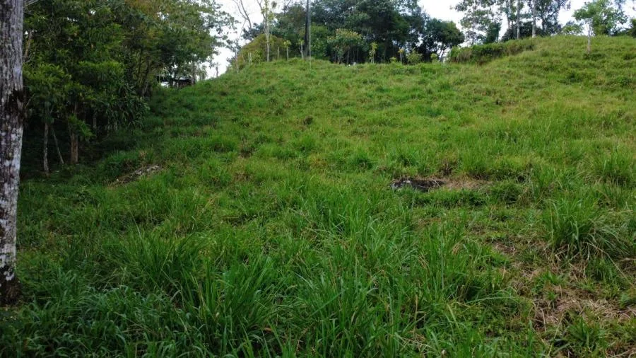 PROPIEDAD DE 10,000 m² EN MIRAFLORES, PÉREZ ZELEDÓN – TERRENO LISTO PARA CONSTRUIR CON QUEBRADA Y CL - Venta en Perez Zeledón, photo 13