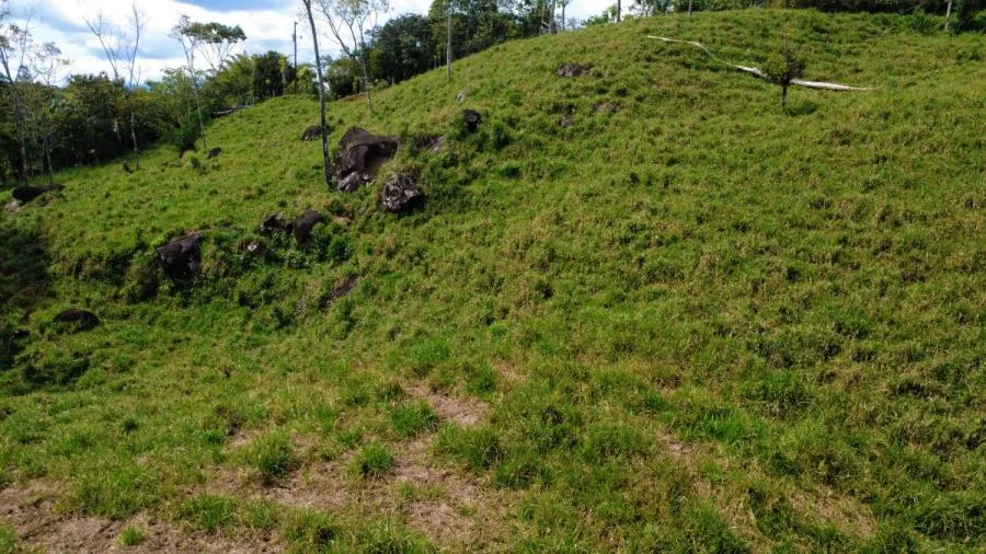 PROPIEDAD DE 10,000 m² EN MIRAFLORES, PÉREZ ZELEDÓN – TERRENO LISTO PARA CONSTRUIR CON QUEBRADA Y CL - Venta en Perez Zeledón, photo 15