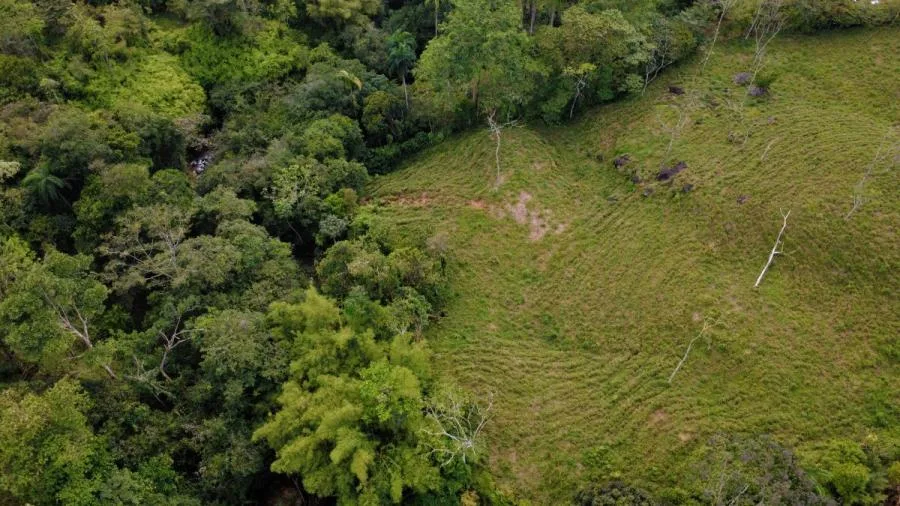 PROPIEDAD DE 10,000 m² EN MIRAFLORES, PÉREZ ZELEDÓN – TERRENO LISTO PARA CONSTRUIR CON QUEBRADA Y CL - Venta en Perez Zeledón, photo 6
