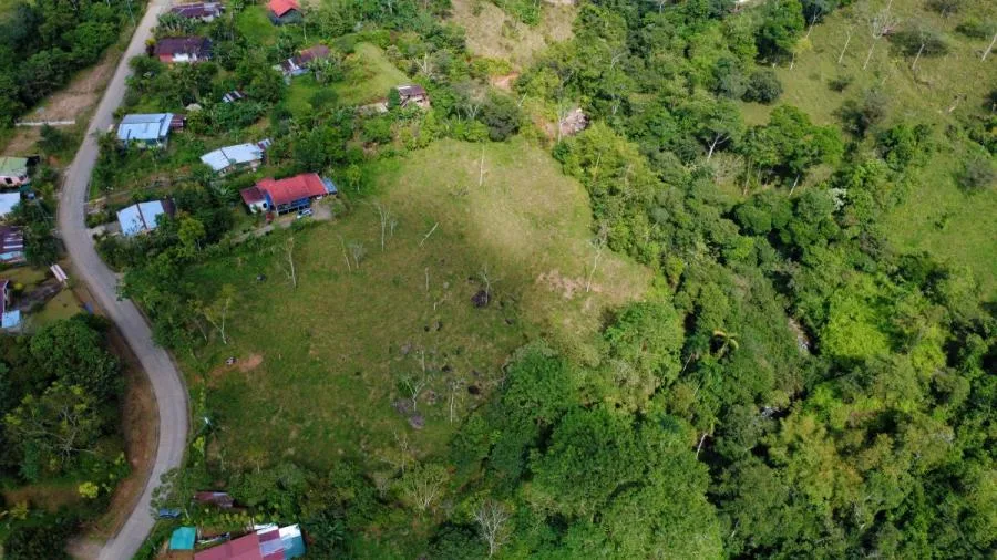PROPIEDAD DE 10,000 m² EN MIRAFLORES, PÉREZ ZELEDÓN – TERRENO LISTO PARA CONSTRUIR CON QUEBRADA Y CL - Venta en Perez Zeledón, photo 10