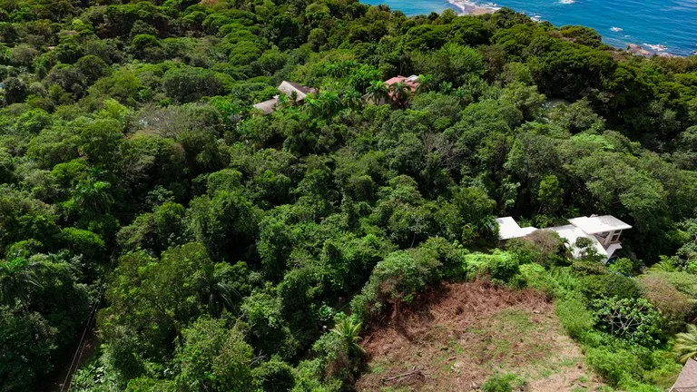 Luxury Ocean View Homesite in Escaleras Playa Dominical, photo 13