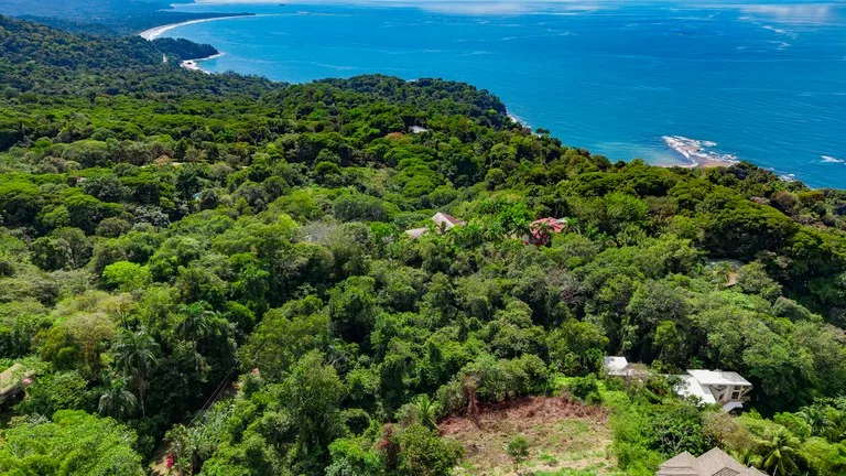 Luxury Ocean View Homesite in Escaleras Playa Dominical, photo 14