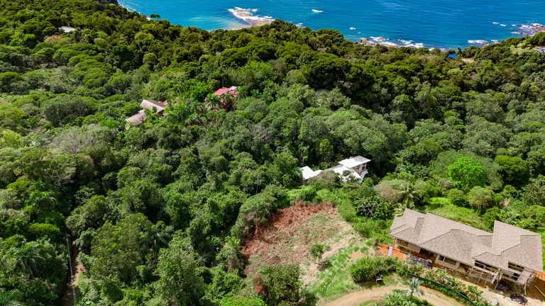 Luxury Ocean View Homesite in Escaleras Playa Dominical, photo 15
