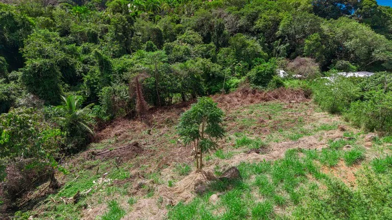 Luxury Ocean View Homesite in Escaleras Playa Dominical, photo 3