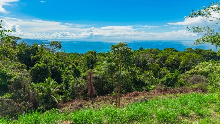 Luxury Ocean View Homesite in Escaleras Playa Dominical, photo 4