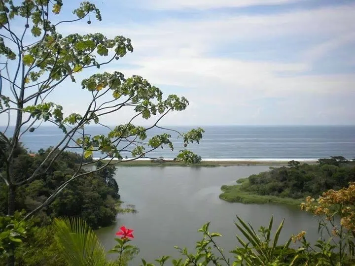 Development Parcel in Osa