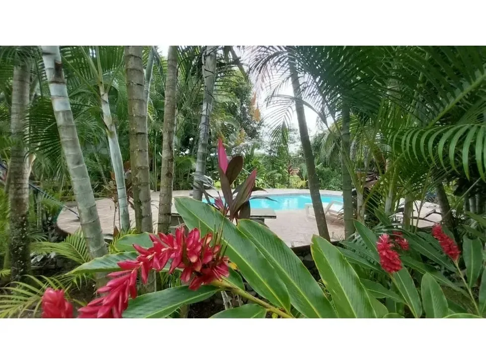 Discover affordable living in Garabito, Costa Rica, with this charming 2-bedroom, 2-bathroom home for just USD 90,000. Situated on a 100 m² lot, this property offers a cozy and ..., photo 5