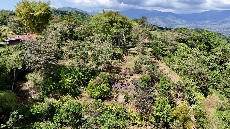 New 1,4 Acre lot in Platanillo – With Legal Water, photo 11