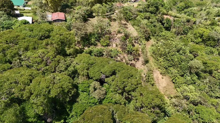 New 1,4 Acre lot in Platanillo – With Legal Water, photo 3
