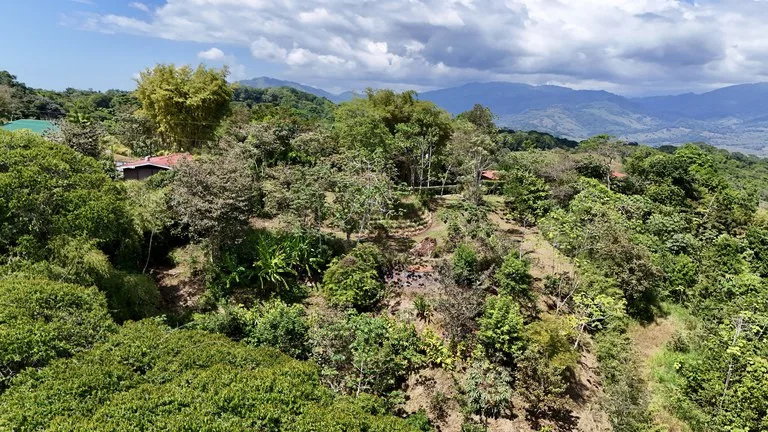 New 1,4 Acre lot in Platanillo – With Legal Water, photo 4