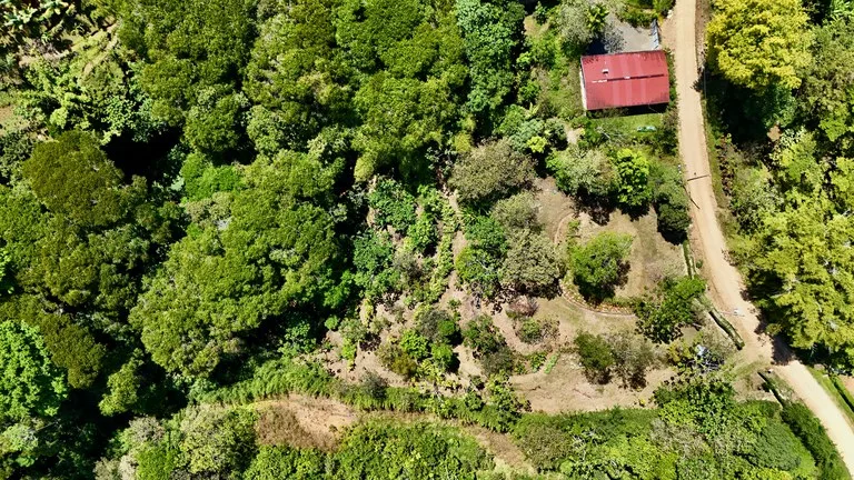 New 1,4 Acre lot in Platanillo – With Legal Water, photo 5