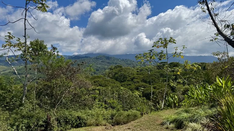 New 1,4 Acre lot in Platanillo – With Legal Water, photo 6